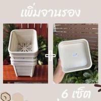 ราคา กระถางต้นไม้เหลี่ยม สีขาว ขนาด9 5นิ้ว เพิ่มจานรองได้ พลาสติกหนา เเข็งเเรง สวยงาม (15281148726)