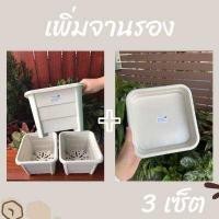 ราคา กระถางต้นไม้เหลี่ยม สีขาว ขนาด9 5นิ้ว เพิ่มจานรองได้ พลาสติกหนา เเข็งเเรง สวยงาม (15281148725)