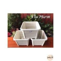 ราคา กระถางต้นไม้เหลี่ยม สีขาว ขนาด9 5นิ้ว เพิ่มจานรองได้ พลาสติกหนา เเข็งเเรง สวยงาม (11080260696)