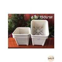 ราคา กระถางต้นไม้เหลี่ยม สีขาว ขนาด9 5นิ้ว เพิ่มจานรองได้ พลาสติกหนา เเข็งเเรง สวยงาม (11082478448)