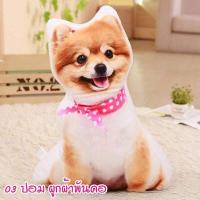 ราคา ตุ๊กตาหมาพันธุ์เล็ก ปอม ฮัสกี้ บลูเทอเรีย แมว พุดเดิ้ล คอร์กี้ ดัชชุน ไส้กรอก ยอร์คเชียร์เทอร์เรีย หมอนตุ๊กตาหมา หมอนตุ๊กตาแมว (3936484391)