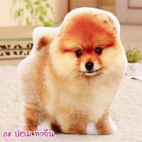 ราคา ตุ๊กตาหมาพันธุ์เล็ก ปอม ฮัสกี้ บลูเทอเรีย แมว พุดเดิ้ล คอร์กี้ ดัชชุน ไส้กรอก ยอร์คเชียร์เทอร์เรีย หมอนตุ๊กตาหมา หมอนตุ๊กตาแมว (10334993439)