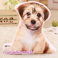 ราคา ตุ๊กตาหมาพันธุ์เล็ก ปอม ฮัสกี้ บลูเทอเรีย แมว พุดเดิ้ล คอร์กี้ ดัชชุน ไส้กรอก ยอร์คเชียร์เทอร์เรีย หมอนตุ๊กตาหมา หมอนตุ๊กตาแมว (16092858581)