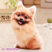 ราคา ตุ๊กตาหมาพันธุ์เล็ก ปอม ฮัสกี้ บลูเทอเรีย แมว พุดเดิ้ล คอร์กี้ ดัชชุน ไส้กรอก ยอร์คเชียร์เทอร์เรีย หมอนตุ๊กตาหมา หมอนตุ๊กตาแมว (3936484392)