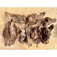 ราคา ทิลแลนเซีย ติดขอนไม้ สับปะรดสีรากอากาศ ติดขอนไม้ พร้อมแขวน (15963673388)