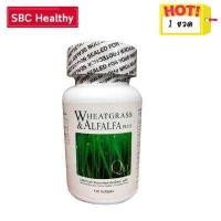 ราคา Wheatgrass Alfalfa Plus ArmStrong Network ผักเม็ด วีทกราสและอัลฟัลฟา 1 กระปุก 120 เม็ด (1034212261)