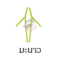 ราคา gpx drone ไฟหรี่ (7479481247)