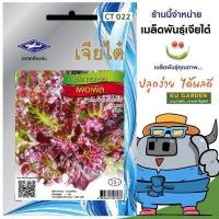 ราคา CHIATAI ผักซอง เจียไต๋ ผักกาดหอม เพอเพิล O022 ประมาณ 200 เมล็ด ผักกาด เมล็ดพันธุ์ผัก เมล็ดผัก เมล็ดพืช ผักสวนครัว (4394060623)