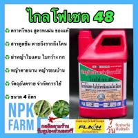 ราคา ไกลโฟเซต 48 หวีทอง ขนาด 4 ลิตร ของแท้ ต้นตำรับ สารกำจัดวัชพืช ชนิดดูดซึม สูตร มนฝน ไม่เลือกทำลาย หญ้าตายนาน ตายยันราก ใช้รอบบ้าน สวน npkplant (16330427609)