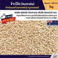 ราคา ข้าวโอ๊ต Australia อาหารนกแก้ว ฟอพัส เลิฟเบิร์ด และนกแก้วอื่นๆ รับประกันความสะอาด ร่อนฝุ่นทุกถุง แบ่งขาย 500g 1kg (17359270255)