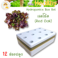 ราคา ส่งด่วน ชุดกล่องปลูกผักไฮโดรโปนิกส์ ปลูกผักไร้ดิน กล่องปลูกผัก ปลูกผักไฮโดร hydroponic 12 ช่องปลูก พร้อมอุปกรณ์ครบชุด สนั่นการเกษตร (17392639212)