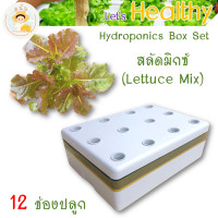 ราคา ส่งด่วน ชุดกล่องปลูกผักไฮโดรโปนิกส์ ปลูกผักไร้ดิน กล่องปลูกผัก ปลูกผักไฮโดร hydroponic 12 ช่องปลูก พร้อมอุปกรณ์ครบชุด สนั่นการเกษตร (17392639214)