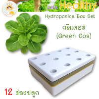ราคา ส่งด่วน ชุดกล่องปลูกผักไฮโดรโปนิกส์ ปลูกผักไร้ดิน กล่องปลูกผัก ปลูกผักไฮโดร hydroponic 12 ช่องปลูก พร้อมอุปกรณ์ครบชุด สนั่นการเกษตร (17392639216)