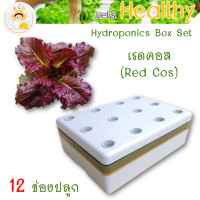 ราคา ส่งด่วน ชุดกล่องปลูกผักไฮโดรโปนิกส์ ปลูกผักไร้ดิน กล่องปลูกผัก ปลูกผักไฮโดร hydroponic 12 ช่องปลูก พร้อมอุปกรณ์ครบชุด สนั่นการเกษตร (17392639215)