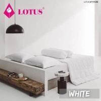 ราคา ครบเซท ผ้านวมและผ้าปูที่นอน โลตัส Lotus 500 เส้นด้าย ขนาด 6 ฟุต หนา 14 นิ้ว (12669350421)