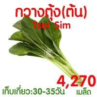 ราคา ค่าส่งถูก ถาดเพาะกล้า ถาดเพาะชำ ถาดเพาะต้นกล้า ถาดเพาะต้นอ่อน ถาดเพาะเมล็ด ถาดเพาะปลูกผัก 50หลุม 72หลุม 105หลุม 200หลุม เมล็ด เมล็ดพันธุ์ (17483365695)