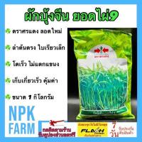 ราคา ผักบุ้งจีนยอดไผ่9 ศรแดง 1 กิโลกรัม ลอตใหม่ เมล็ดพันธุ์ ผักบุ้ง ผักบุ้งจีน ยอดไผ่ ใบเรียวเล็ก สีเขียวสด ลำต้นตรงไม่แตกแขนง อายุเก็บ 20 25 วัน (7418848706)