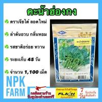 ราคา ผักซอง เจียไต๋ คะน้าฮ่องกง จำนวน 1 100 เมล็ด ซอง เมล็ดพันธุ์ ลอตใหม่ งอกดี ลำต้นอวบ กลิ่นหอม รสชาติอร่อย หวาน ระยะเก็บเกี่ยว 45 50 วัน (12431242100)