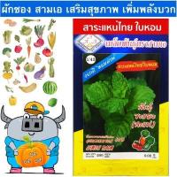 ราคา AAA ผักซอง สามเอ A1 43 สาระแหน่ ไทยโบราณ เมล็ดพันธุ์ สาระแหน่ เมล็ดพันธุ์ผัก เมล็ดผัก ผักสวนครัว สาระแน่ ตราAAA (14219307716)