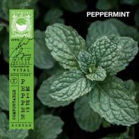 ราคา KARMAKAMET Traditional Asian Perfume Sachet Refills คามาคาเมต ถุงหอมชนิดเติม ถุงหอม ถุงหอมปรับอากาศ กลิ่นหอม ปรับอากาศ (807762355)