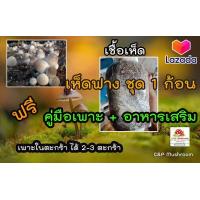 ราคา เชื้อเห็ดฟาง ชุด 1 ก้อน พร้อมอาหารเสริม และวิธีเพาะ (10677370857)