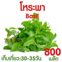 ราคา ค่าส่งถูก ฟองน้ำเพาะกล้า 5แผ่น ฟองน้ำปลูกผัก ฟองน้ำเพาะเมล็ด ปลูกผักไฮโดรโปนิกส์ ฟองน้ำไฮโดร ฟองน้ำเพาะปลูก ไฮโดร ไฮโดรโปนิกส์ เกรดA (17487162474)