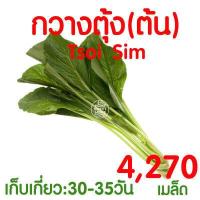 ราคา ค่าส่งถูก ฟองน้ำเพาะกล้า 5แผ่น ฟองน้ำปลูกผัก ฟองน้ำเพาะเมล็ด ปลูกผักไฮโดรโปนิกส์ ฟองน้ำไฮโดร ฟองน้ำเพาะปลูก ไฮโดร ไฮโดรโปนิกส์ เกรดA (17487162464)