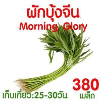 ราคา ค่าส่งถูก ฟองน้ำเพาะกล้า 5แผ่น ฟองน้ำปลูกผัก ฟองน้ำเพาะเมล็ด ปลูกผักไฮโดรโปนิกส์ ฟองน้ำไฮโดร ฟองน้ำเพาะปลูก ไฮโดร ไฮโดรโปนิกส์ เกรดA (17487162467)