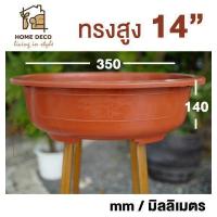 ราคา กระถางบอนไซ ทรงแบน ขนาดใหญ่พิเศษ จัมโบ้ กระถางพลาสติก กระถางสไตล์จีน กระถางจีน กระถางวงรี กระถางทรงเตี้ย Bonsai pot oval plant pot big size plastic plant pot (9903872630)