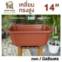 ราคา กระถางบอนไซ ทรงแบน ขนาดใหญ่พิเศษ จัมโบ้ กระถางพลาสติก กระถางสไตล์จีน กระถางจีน กระถางวงรี กระถางทรงเตี้ย Bonsai pot oval plant pot big size plastic plant pot (10004838898)