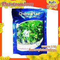 ราคา เมล็ดขึ้นฉ่าย พันธุ์ ซุปเปอร์โพธิ์ทอง คื่นฉ่าย ต้นขาว ตรา เจียไต๋ 400 กรัม ใบใหญ่ ทนร้อนได้ดีเยี่ยม (7261860569)