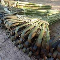 ราคา ไม้กวาดมือเสือ ชุด 10 ด้าม (13517668173)