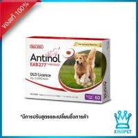ราคา EXP4 24 ANTINOL DOG วิตามินบำรุงข้อสุนัข บรรจุ 60 แคปซูล (7877311281)