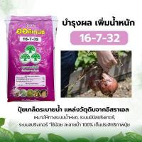 ราคา ปุ๋ยเกล็ด ปุ๋ยออร์คิเดนซ์ ปุ๋ยละลายน้ำ ระบบน้ำหยด 25 กิโลกรัม YVP วายวีพี ตราสามต้นไม้ (3997746835)