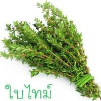 ราคา ใบไทม์ ถูกที่สุด10บ เมล็ดพันธุ์ใบไทม์50 เมล็ด งอกง่าย โตไว สมุนไพรฝรั่ง ปรุงอาหารอร่อย (13152538407)