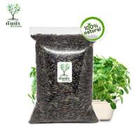 ราคา เมล็ดต้นอ่อน Organic100 เมล็ดพันธุ์ผัก เมล็ดสำหรับเพาะงอกพร้อมปลูก ต้นอ่อนทานตะวัน ต้นอ่อนผักบุ้ง โต้วเหมี่ยว ไควาเระ เมล็ดสดใหม่งอกไว (12575507112)