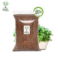 ราคา เมล็ดต้นอ่อน Organic100 เมล็ดพันธุ์ผัก เมล็ดสำหรับเพาะงอกพร้อมปลูก ต้นอ่อนทานตะวัน ต้นอ่อนผักบุ้ง โต้วเหมี่ยว ไควาเระ เมล็ดสดใหม่งอกไว (12575507127)