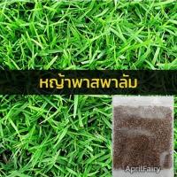 ราคา เมล็ดพันธุ์ เมล็ดหญ้า 10000 เมล็ด หญ้าเบอร์มิวด้า หญ้าญี่ปุ่น หญ้านวลน้อย หญ้ามาเลเซีย หญ้าไต้หวัน หญ้าพาสพาลั่ม (14622370824)