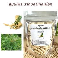 ราคา สมุนไพร รากปลาไหลเผือก บรรจุ 100 แคปซูล ปริมาณ 400 มก (15248763573)