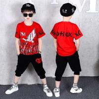 ราคา JHL ชุดเซต2ชิ้นเด็กผู้ชาย ชุดฮิปฮอปเด็กชาย แฟชั่นใหม่สไตล์เกาหลี เสื้อผ้าเด็กโต ชุดเด็กผู้ชาย WT301 (14654558492)