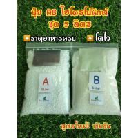 ราคา ปุ๋ย AB ขนาด 5 ลิตร สำหรับปลูกผักไฮโดรโปนิกส์ ใช้ได้ทั้งระบบน้ำนิ่งและน้ำวน มีคู่มือผสมทุกชุด 2ชุดแถมอาหารใบ 1ขวด (13214700456)