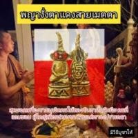 ราคา พญางั่งตาแดง มหาเสน่ห์สายเขมร (9250663097)