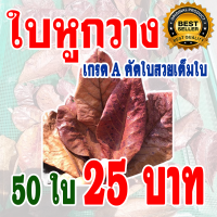 ราคา ส่งด่วน เกรดA ใบหูกวางตากแห้ง คัดใบสวยเต็มใบ เร่งสีปลากัด ช่วยให้ปลากัดสวยงามขึ้น ปรับสภาพน้ำ (16770559375)