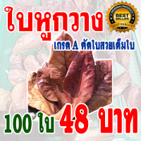 ราคา ส่งด่วน เกรดA ใบหูกวางตากแห้ง คัดใบสวยเต็มใบ เร่งสีปลากัด ช่วยให้ปลากัดสวยงามขึ้น ปรับสภาพน้ำ (16770559376)