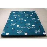 ราคา ที่นอน ปิคนิค 3 5ฟุต 5ฟุต 6ฟุต หนาพิเศษ3 5 4นิ้ว เนื้อผ้าเกรดA สินค้าตรงปก (13643647093)