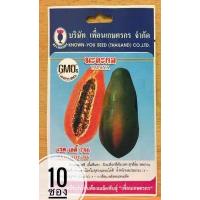 ราคา เมล็ดมะละกอ เรดเลดี้ Red lady พันธุ์พิเศษ ต้นเตี้ย รสหวาน ติดผลเร็ว ต้านทานโรค นิยมปลูกมาก (405706894)