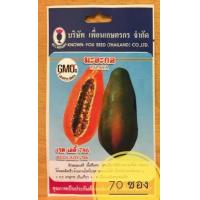 ราคา เมล็ดมะละกอ เรดเลดี้ Red lady พันธุ์พิเศษ ต้นเตี้ย รสหวาน ติดผลเร็ว ต้านทานโรค นิยมปลูกมาก (1170648674)