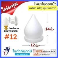 ราคา โฟมพุ่ม ขนาด 4 12 นิ้ว โฟมพุ่มดอกบัว โฟมทำพาน โฟมสำเร็จรูป จัดพานไหว้ครู พานวันแม่ โฟมกฐิน (761232265)