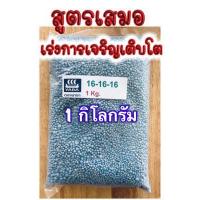 ราคา ปุ๋ย 8 24 24 เร่งดอก บำรุงผล (14690268214)