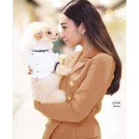 ราคา Chompoo Fashion ชุดเซ็ท SET 2 ชิ้น เสื้อสูทแขนยาว กางเกงขายาว สีแดง (17418868335)